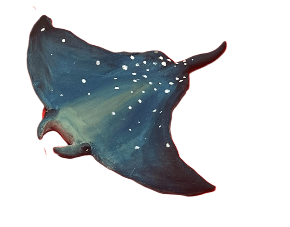 Clay manta ray